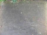 image of grave number 174379